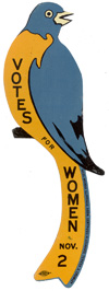 Tin bluebird