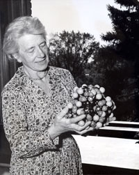 Dorothy Wrinch
