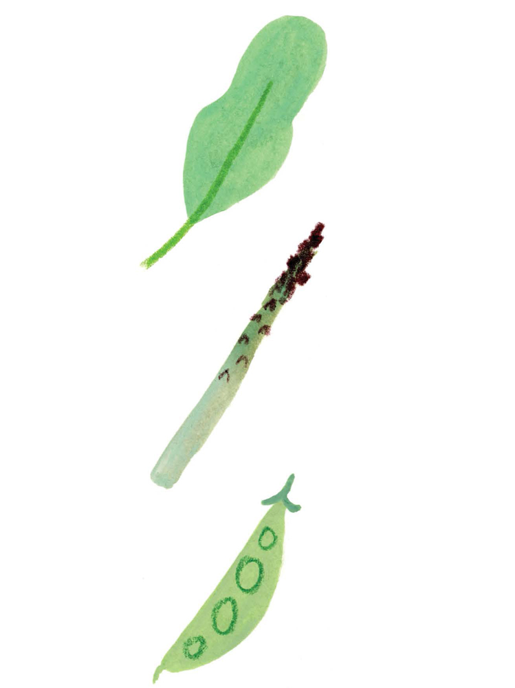 illustration of vegetables