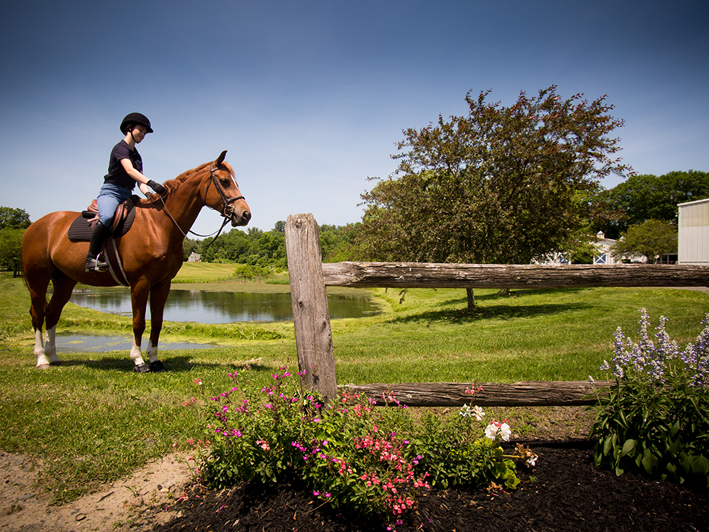 Smith College and Stoneleigh-Burnham School Announce Equestrian ...