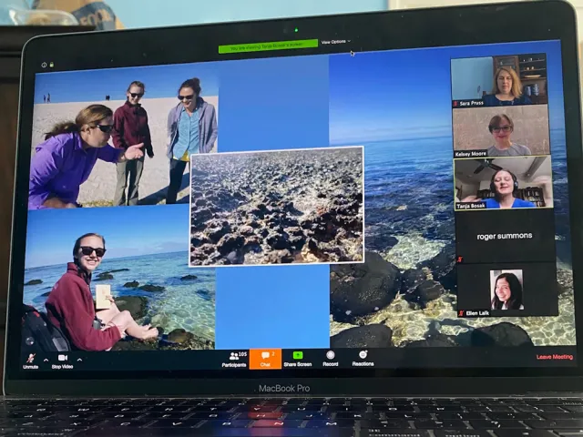 Laptop screen of a zoom meeting showing an array of photos of people at the ocean doing scientific research plus zoom participants along the side