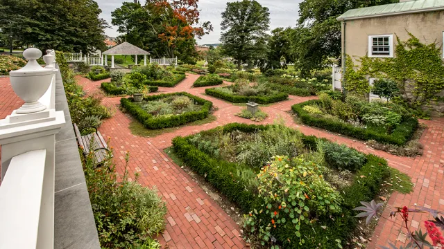 Brick walkways in the Happy Chase Garden