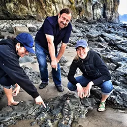 Alexandra Golikov '19 looking whale bones during her NOAA internship