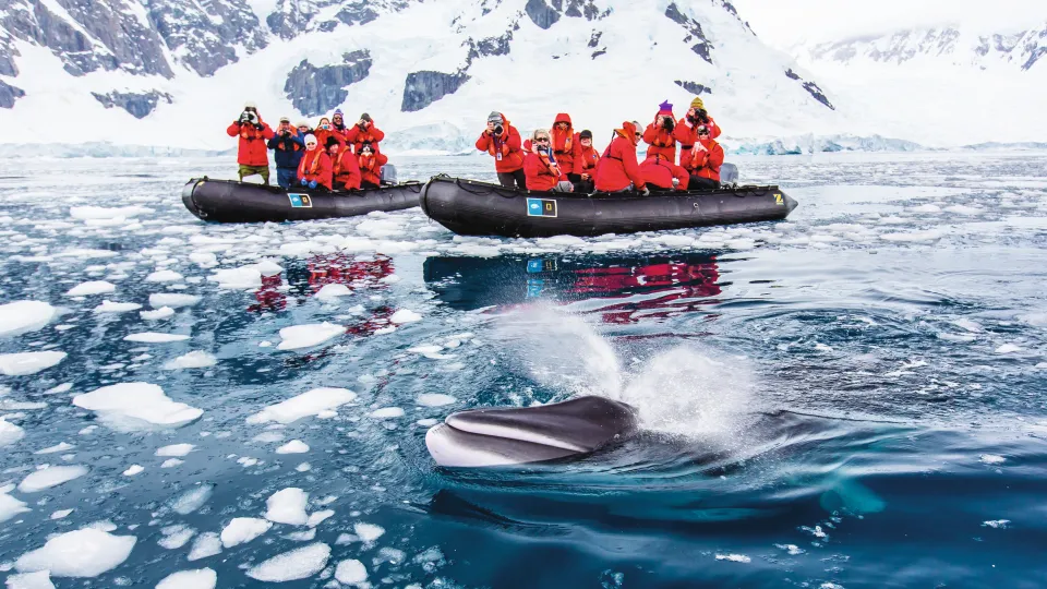 Tourists in rubber rafts watch a whale breach the surface of the icy water
