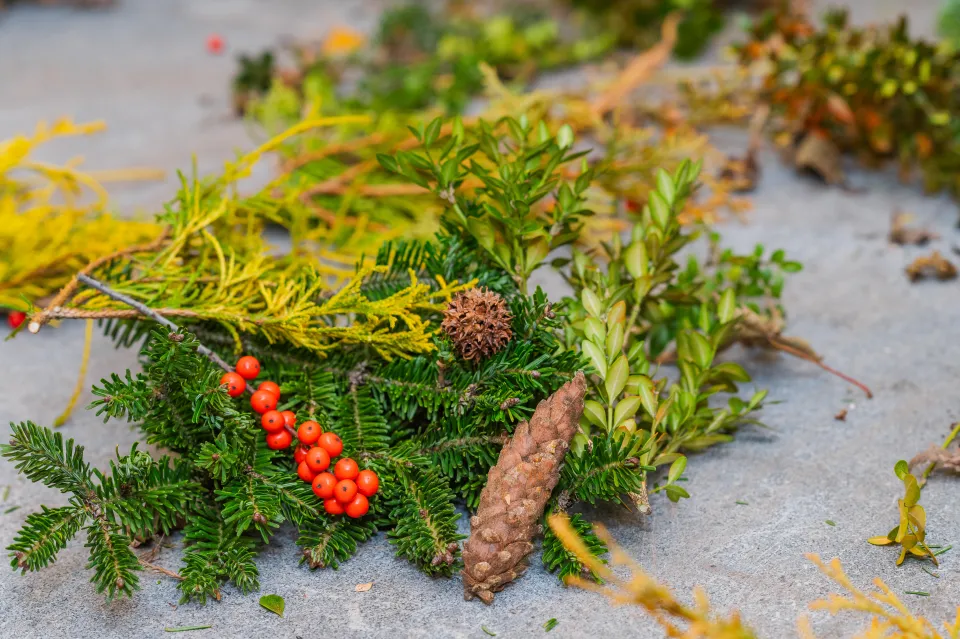 Evergreens, pinecones and winterberries on a table