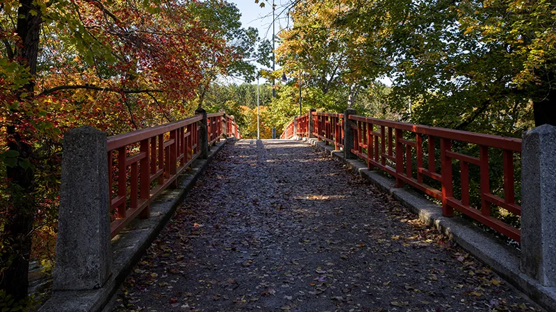 campus bridge in fall